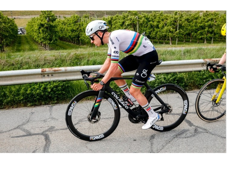 Colnago Frames