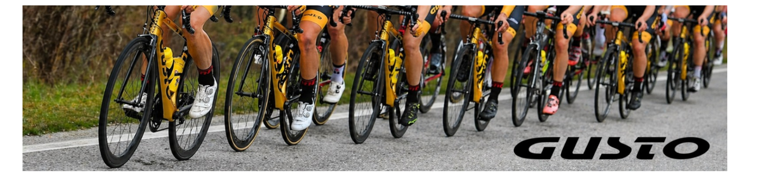 Gusto Bikes