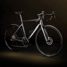 Load image into Gallery viewer, Colnago V4 Frameset - Grey
