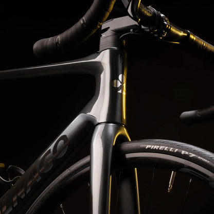 Colnago V4 Frameset - Grey
